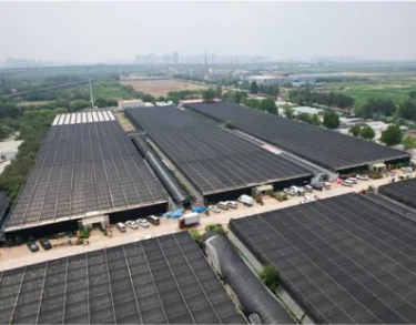 {{0}}.2, 0.15, 0.3 มม. โรงเรือนฟิล์ม PE/Pep/โรงเรือนฟิล์ม Mutli Span/โค้งกลม/หลังคาฟันเลื่อย